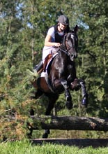 Mit 8,33 auf dem 2. Platz kam der vierjährige Royal Spacestar v. Starway / Skatman aus dem Hause Schmidtlein. Foto: Lohrmann